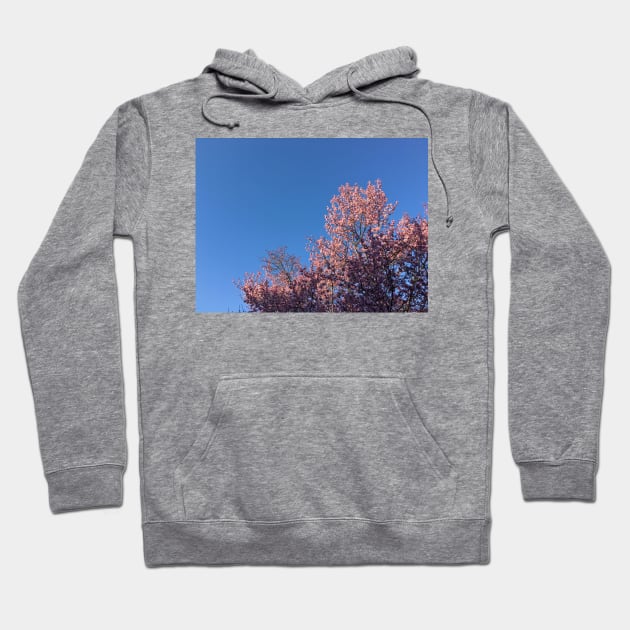 Cherry Blossom Sky Hoodie by BigPapaJ